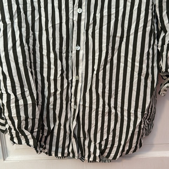 Jane + Delancey NWT Women's Long Sleeve Small Green and White Button Up - Picture 7 of 13